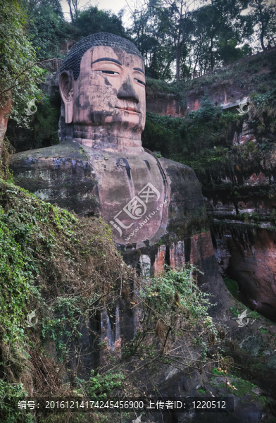 巨佛；樂山；中國
