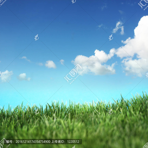 美麗的風(fēng)景