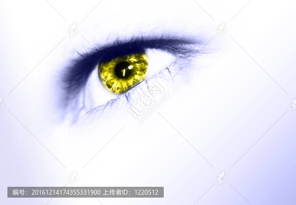 設(shè)計(jì)之眼