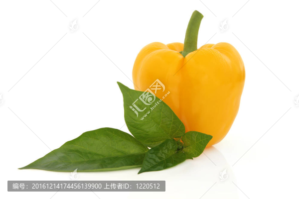黃椒