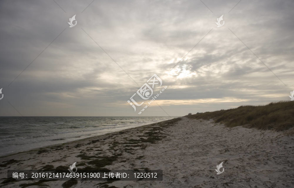 海岸線