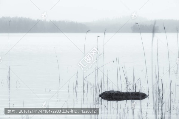寧靜的早晨