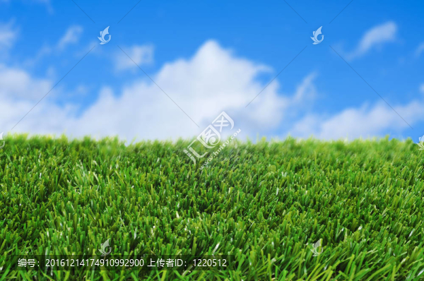 草與天空