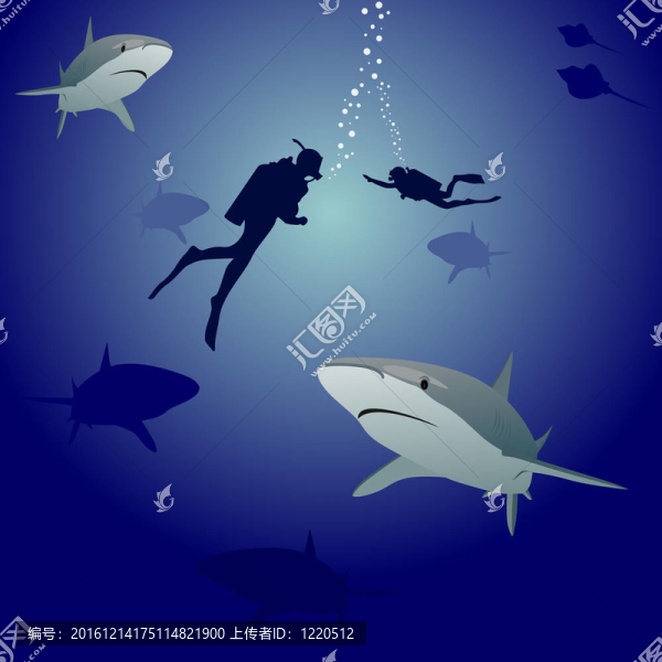鯊魚(yú)和水肺潛水員