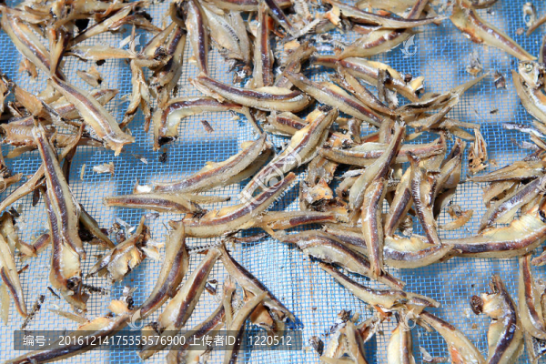 干魚