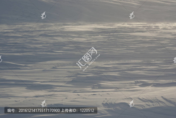 雪漠。