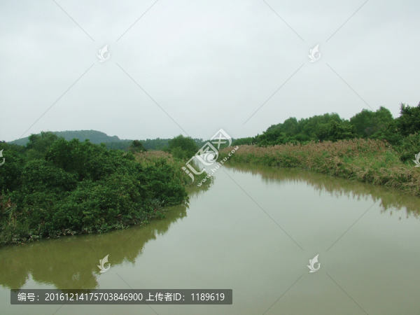 珠海淇澳紅樹林野生保護(hù)區(qū)風(fēng)景