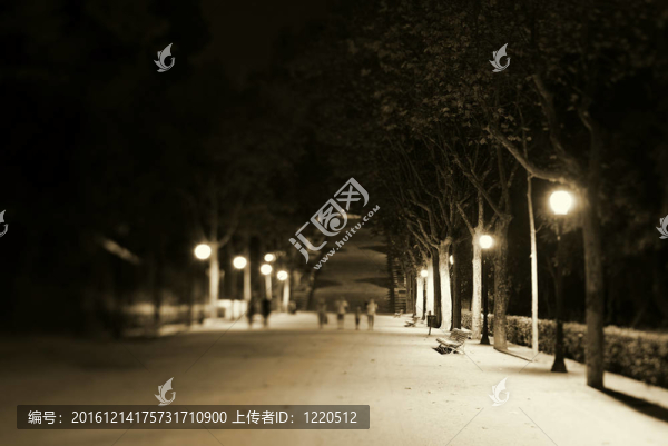 在公園的夜景