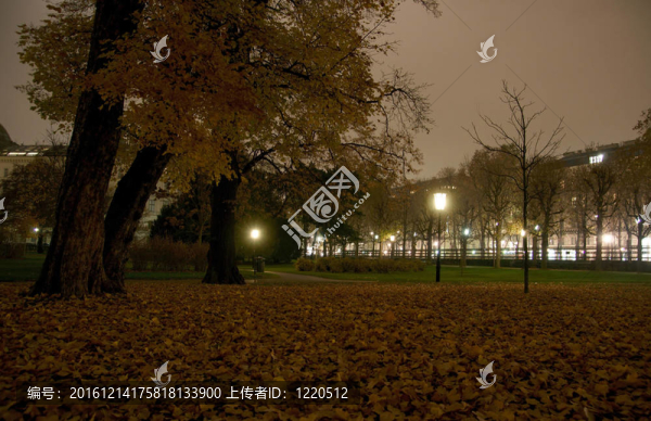 夜間維也納公園