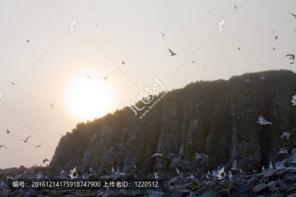 鳥(niǎo)兒的巖石和日落
