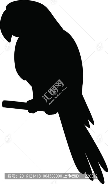Parrot在極點(diǎn)；剪影