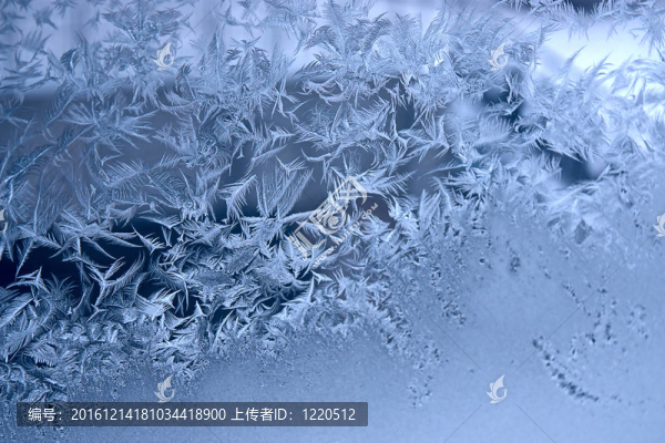 窗上的霜