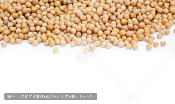 白背景芥菜籽-匯圖網(wǎng) www.fosd68.com 白背景芥菜籽
