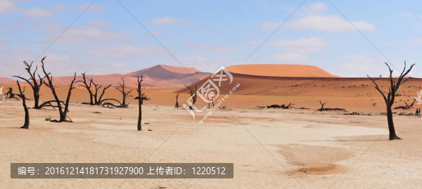 戴德弗雷全景