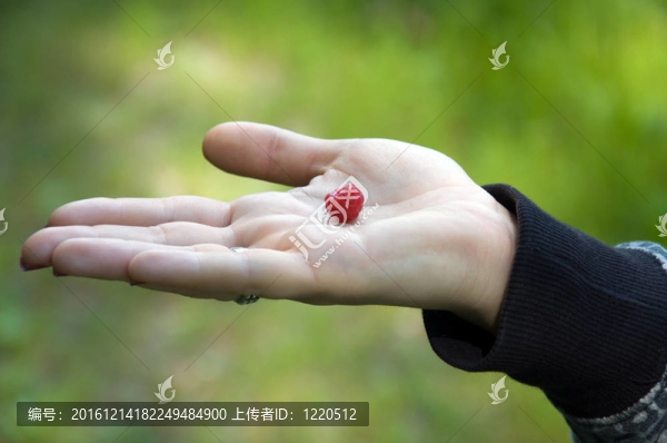 一方面與樹莓