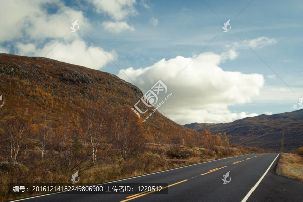 秋天的路上