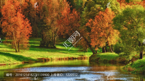 湖心島的秋天-匯圖網(wǎng) www.fosd68.com 湖心島的秋天