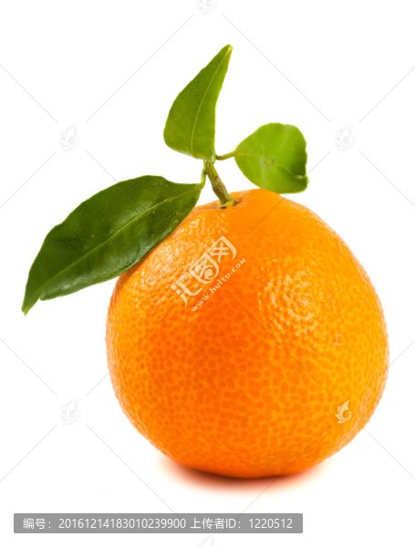 Tangerine夜店有綠色的葉子