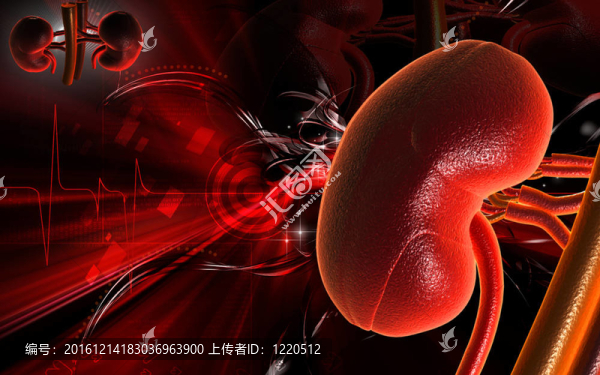腎