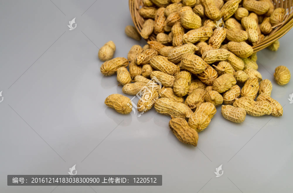 藍灰色花生