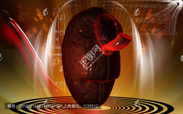 腦