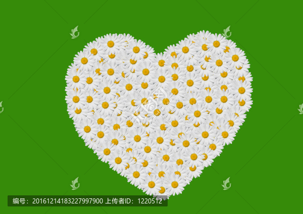 雛菊的心-匯圖網(wǎng) www.fosd68.com 雛菊的心