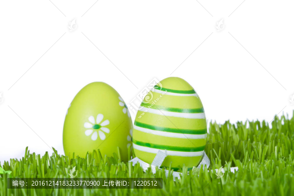 草中復(fù)活節(jié)彩蛋