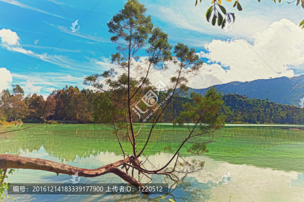 該湖湖
