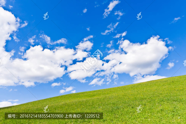 綠色的田野