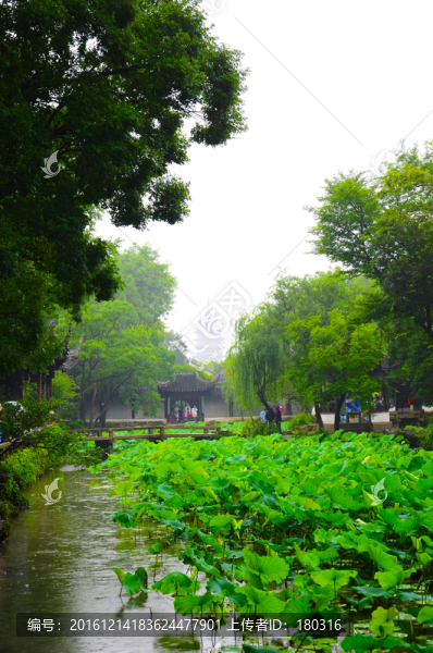 拙政園