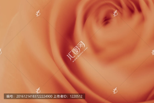 橙玫瑰的宏