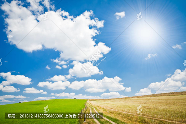 農(nóng)業(yè)景觀