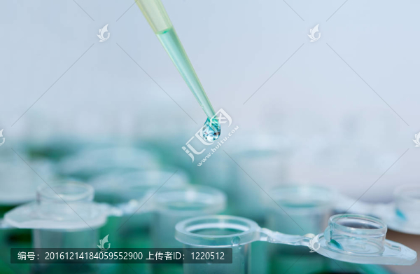 分子生物學(xué)