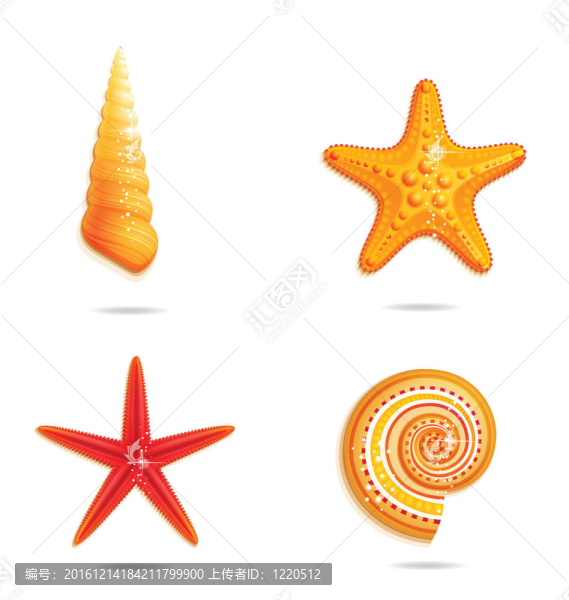 白色的熱帶海洋符號(hào)