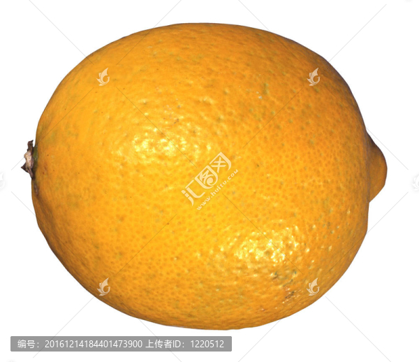 檸檬-匯圖網(wǎng) www.fosd68.com 檸檬