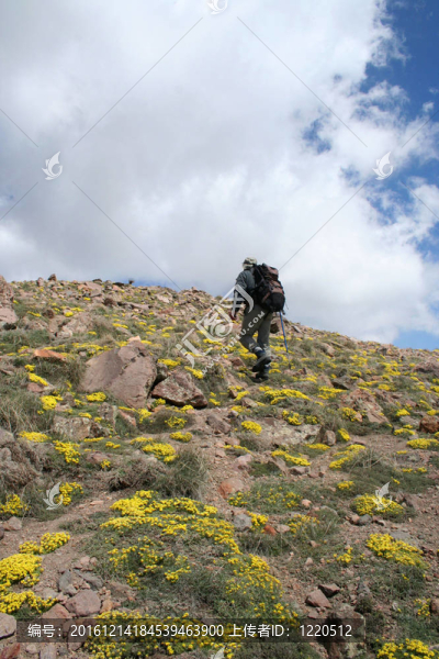 高的山，徒步旅行