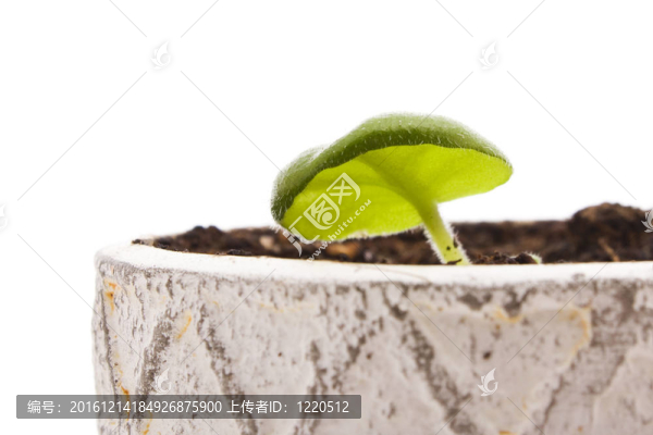 新的生活