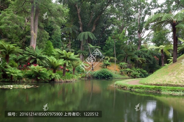 植物園