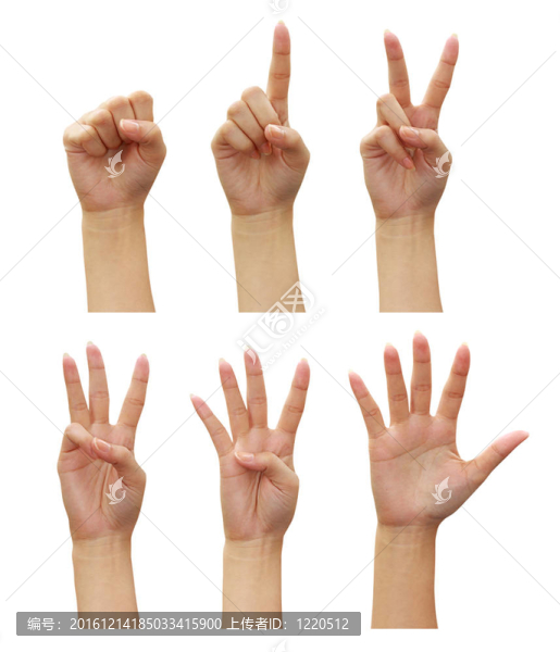 女人的手?jǐn)?shù)