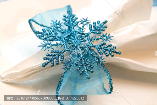 藍(lán)雪花架特寫