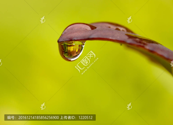 下降的反思