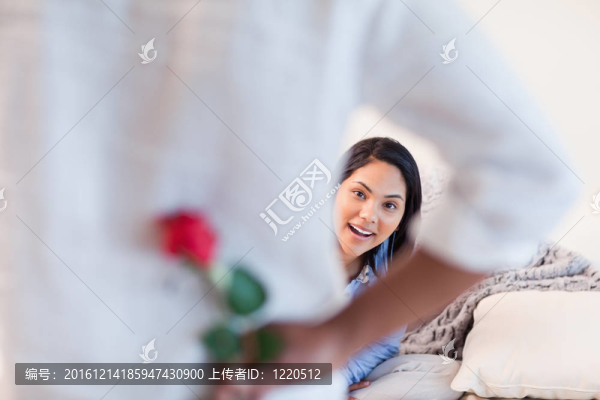 女性即將得到一個玫瑰由她的男朋友