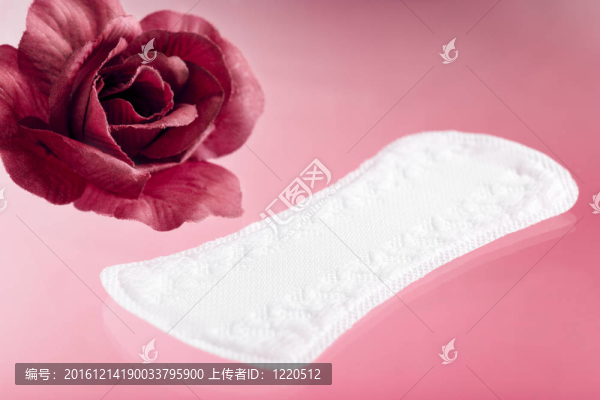 護墊