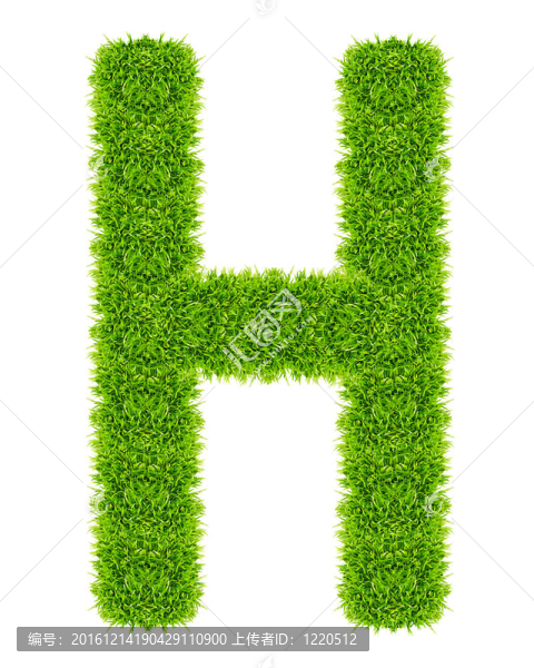 綠草字母H孤立