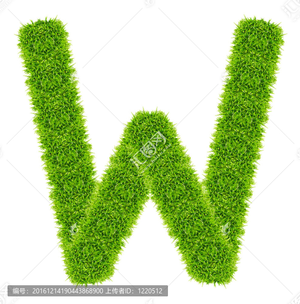 綠色字母W孤立