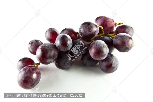葡萄果實(shí)中分離