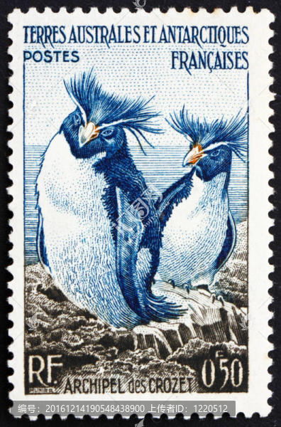 郵票法國(guó)1956跳巖企鵝；克羅澤群島