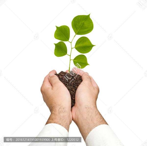 作為自然保護(hù)象征的手發(fā)芽