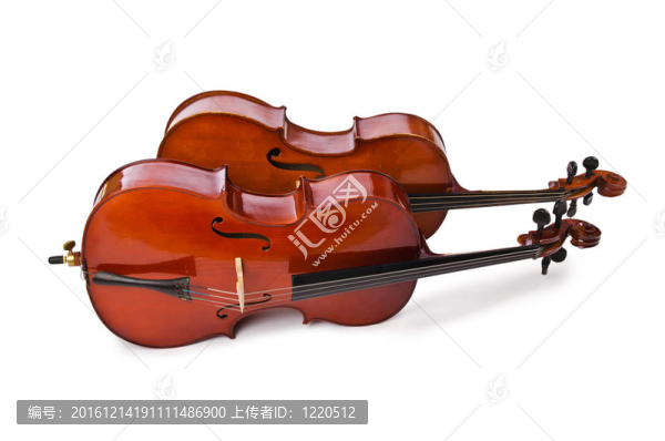 白色樂器
