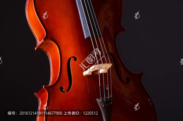 在黑暗的房間里音樂的大提琴